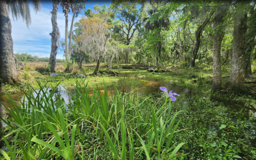 Two Rivers Preserve