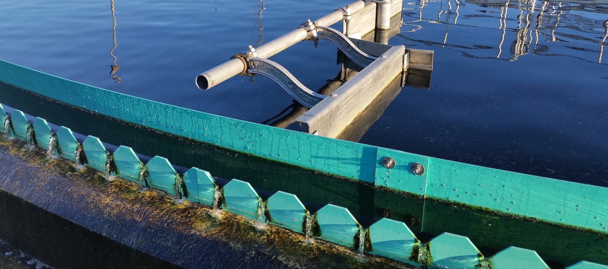 clarifier - 1